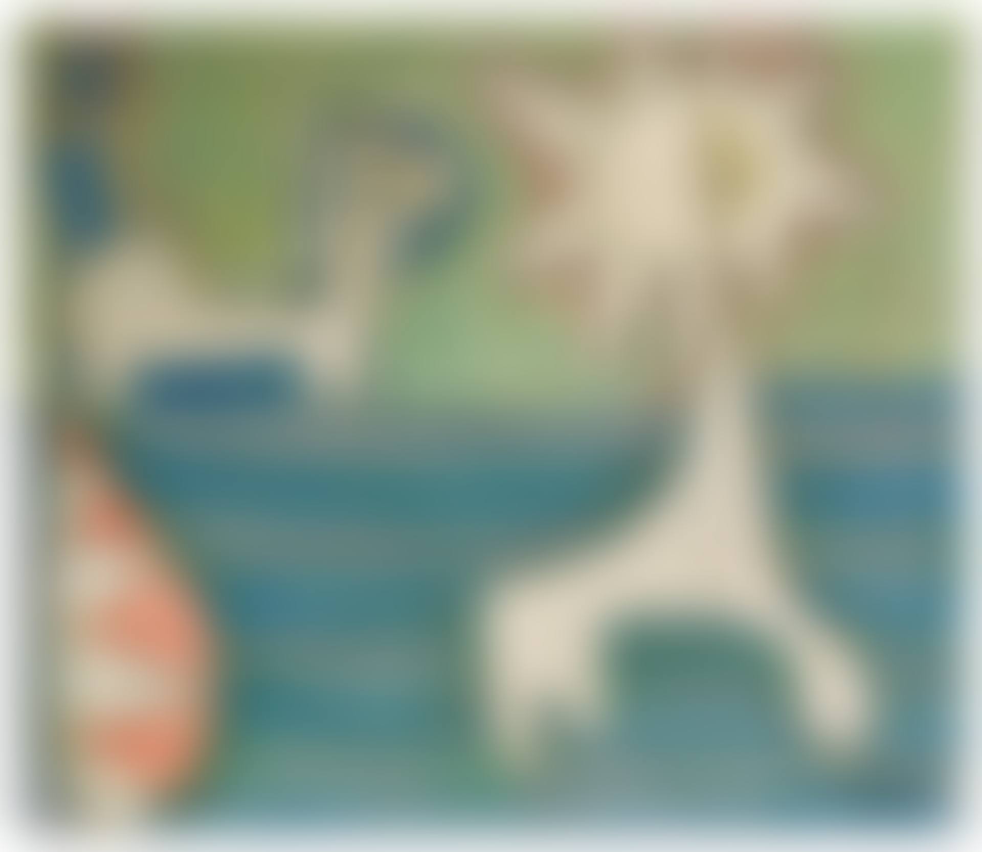 White Animals (preview)