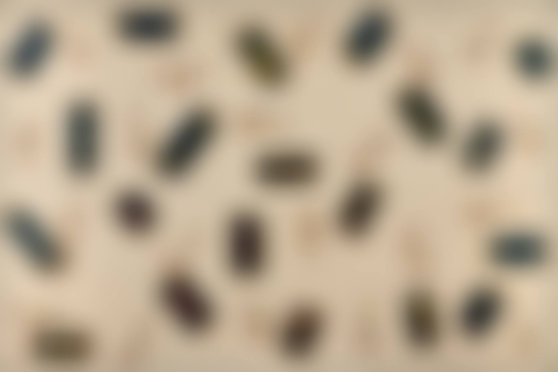 Decomposition (preview)