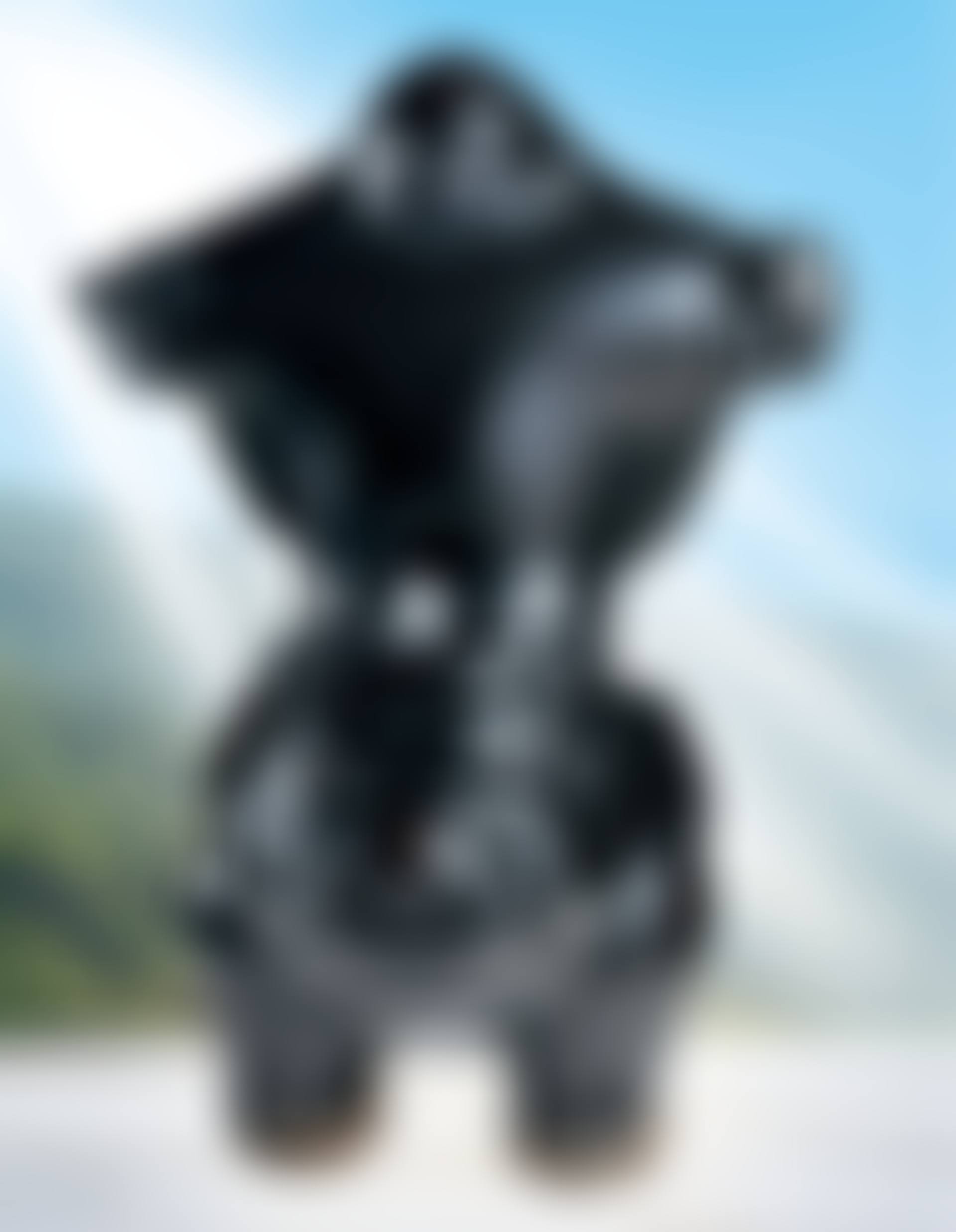 Dragon-Riding Buddha (preview)