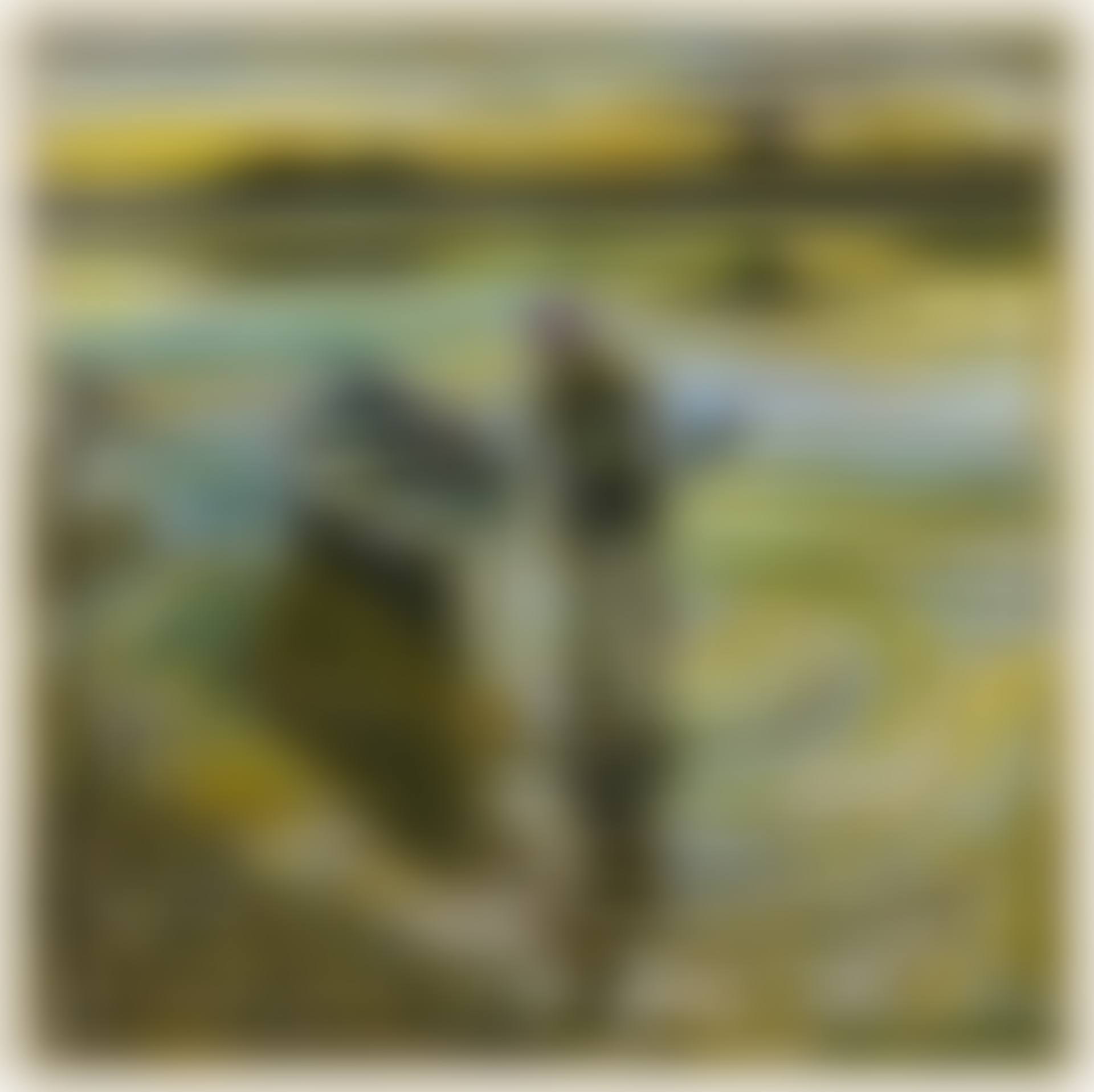 sunrise and distant burn (preview)