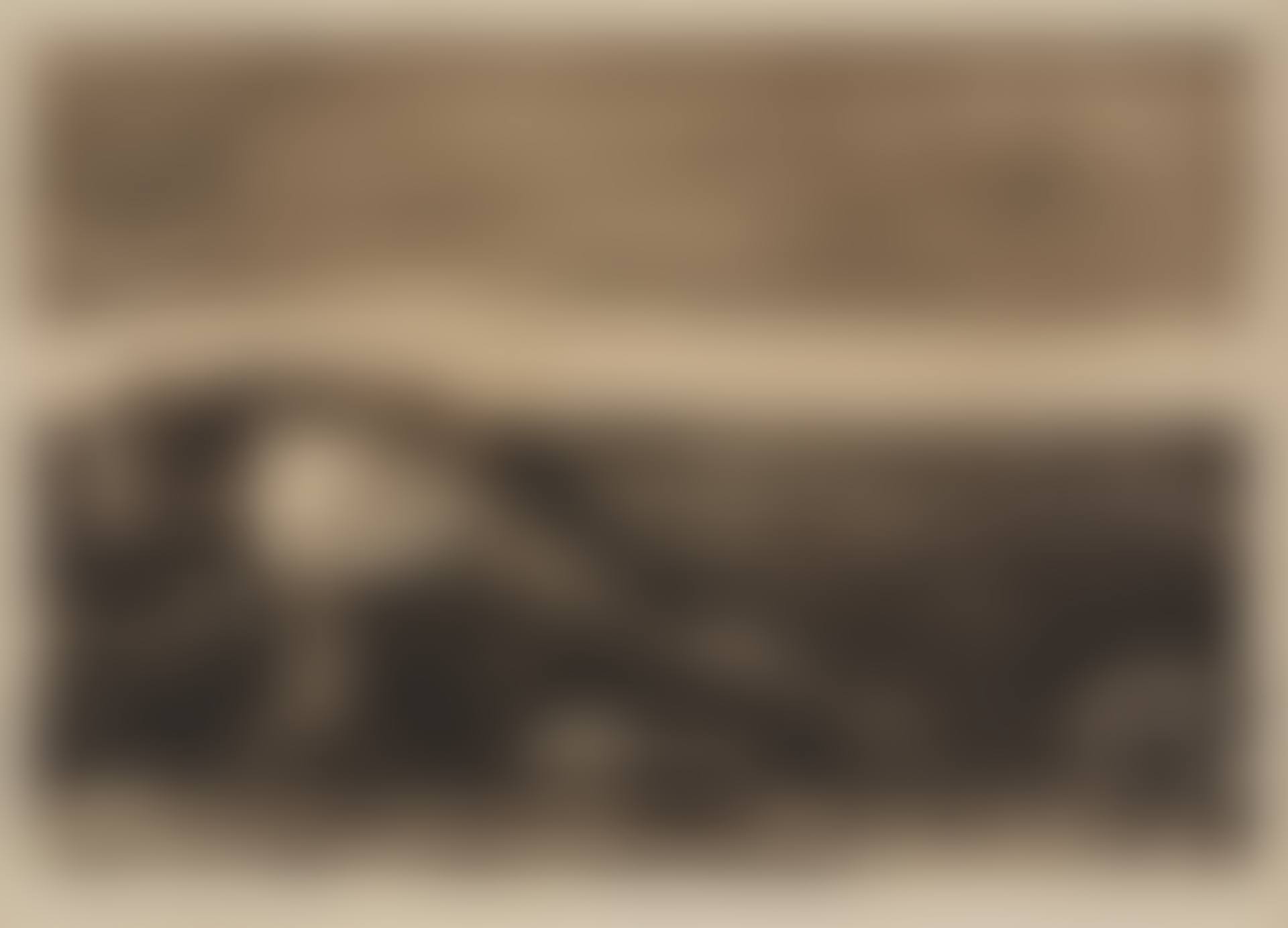 "Die Pfluger" from: Bauernkrieg (Peasant's War). (preview)