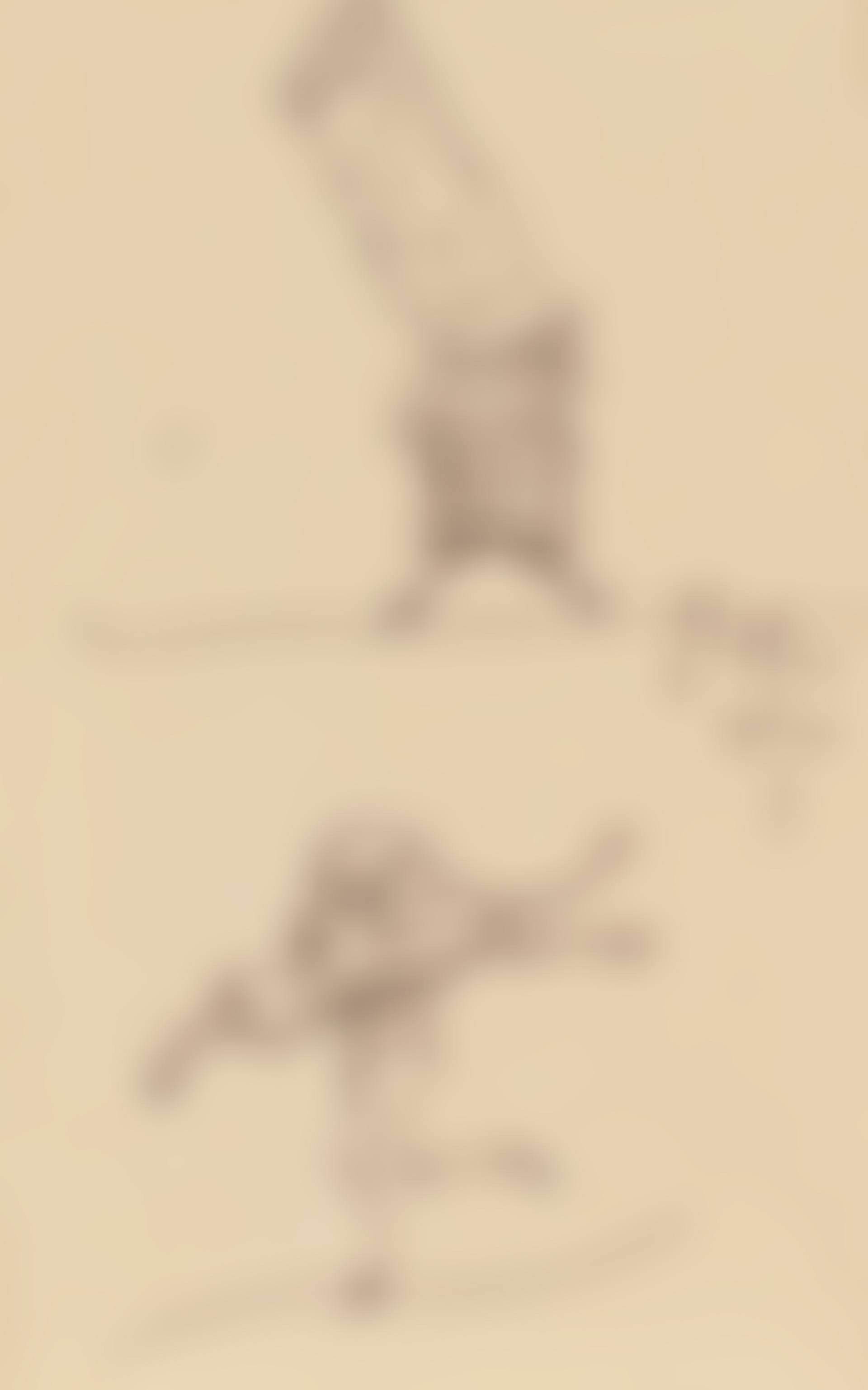 A Dancing Cigarette and Egg (preview)
