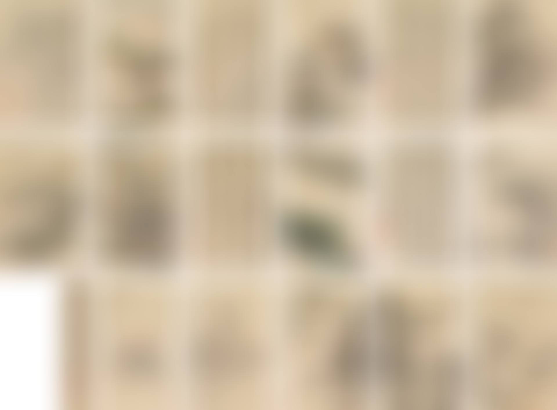 AN ALBUM OF LANDSCAPE AND CALLIGRAPHY (preview)