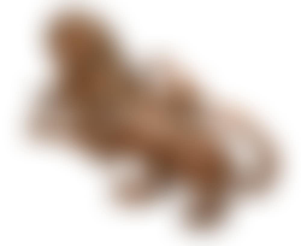 A large carved wood wall mounted figure of a lion (preview)