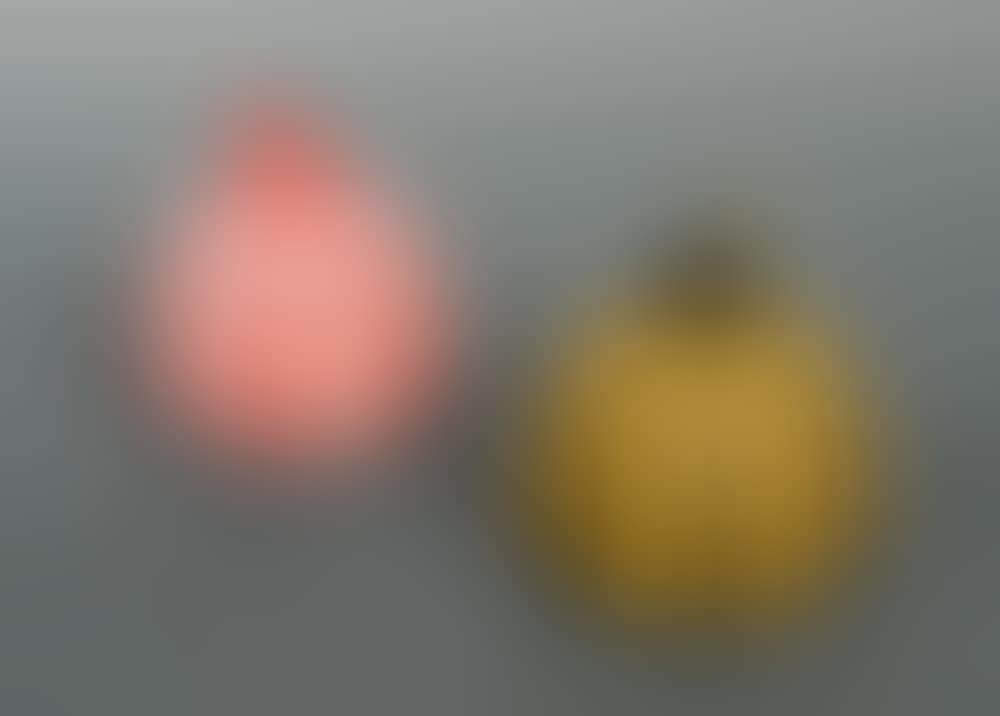 Red and yellow pumpkin (preview)