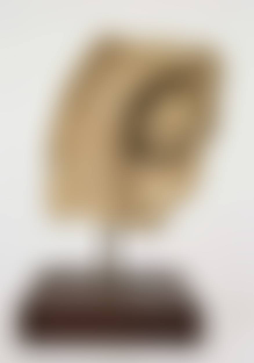 A Greco-Gandharan temple fragment (preview)
