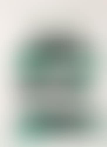 Group of 4 color lithographs (preview)