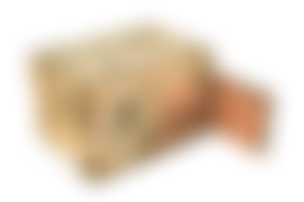 A stumpwork casket (preview)