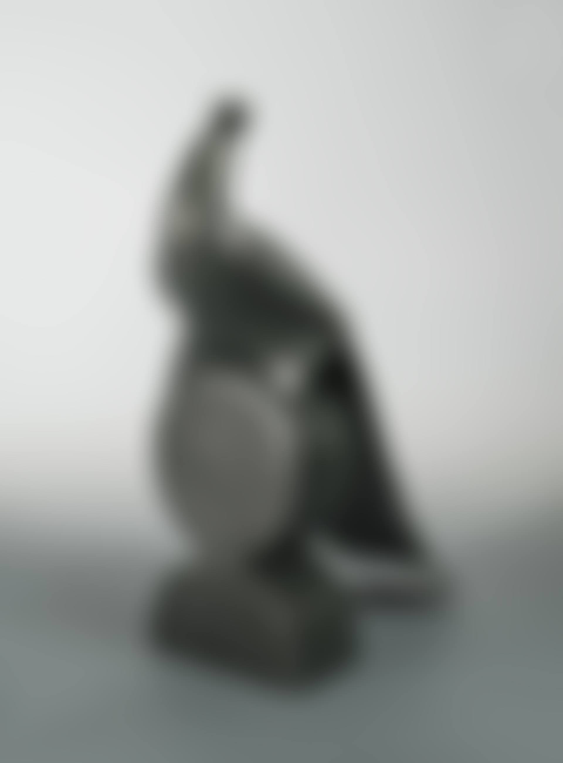 A modern patinated composition figure of a peacock (preview)