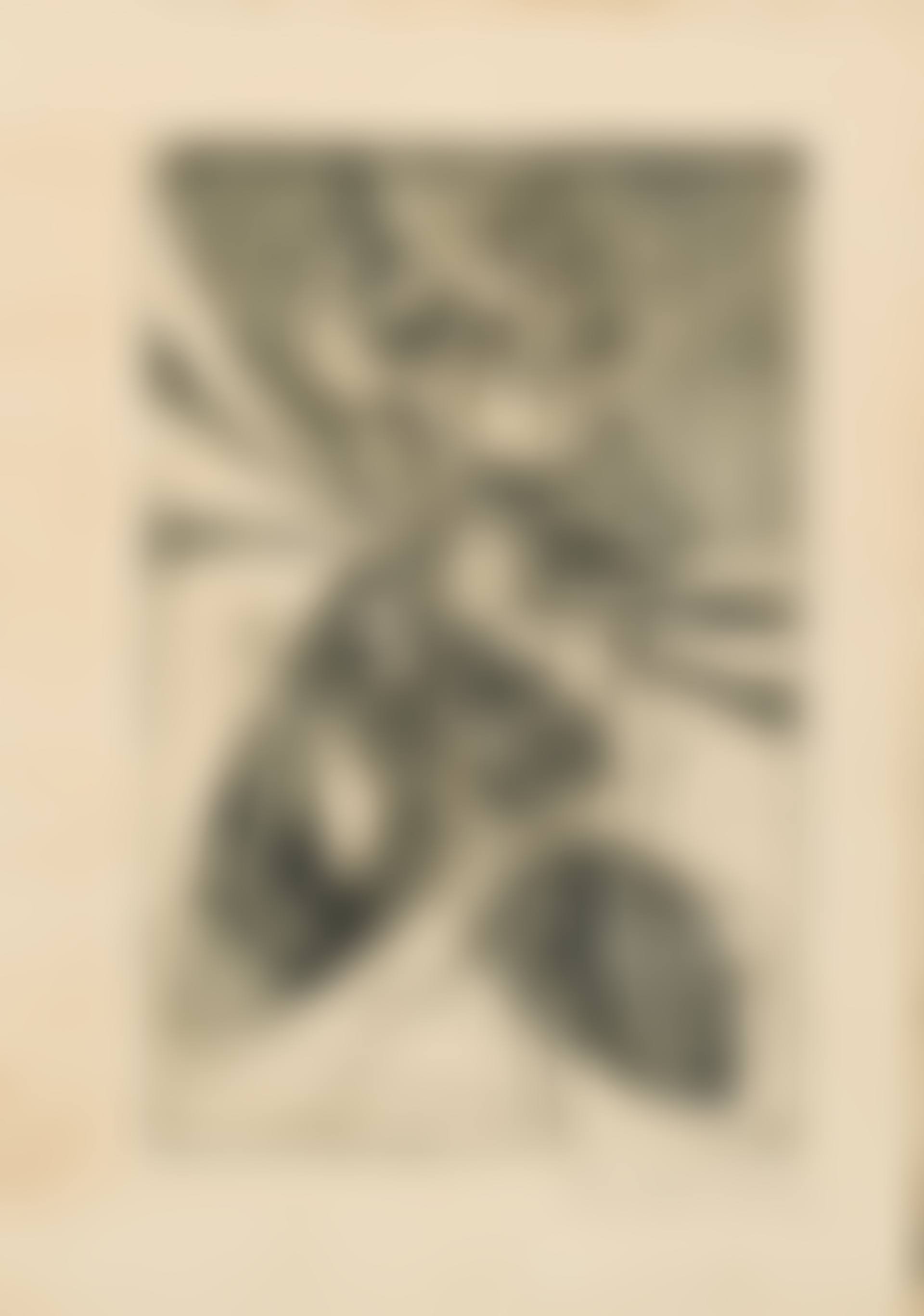 Greeting Card for 1946-47 (preview)