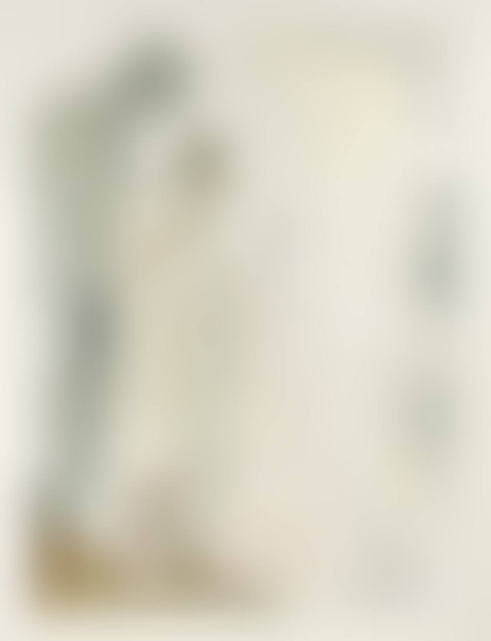 The divine comedy (preview)