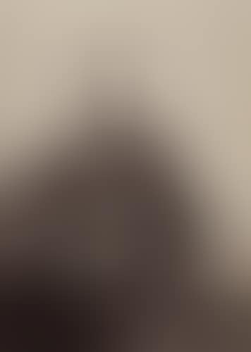 Portraits of Union Generals (preview)