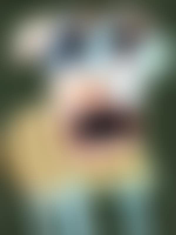 “Forbavset og lidt liderlig hund” (Astonished and Slightly Horny Dog) (preview)