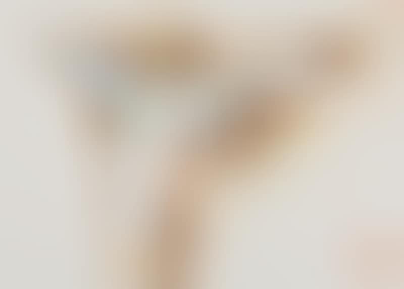 “Med vinger”. With wings (preview)