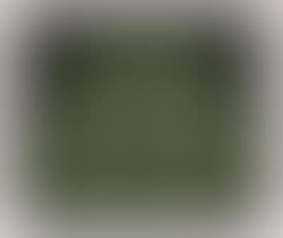 "Pumpkin (green)" (preview)