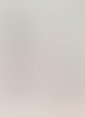 "Architekturzeichnung nach Leonardo" (preview)