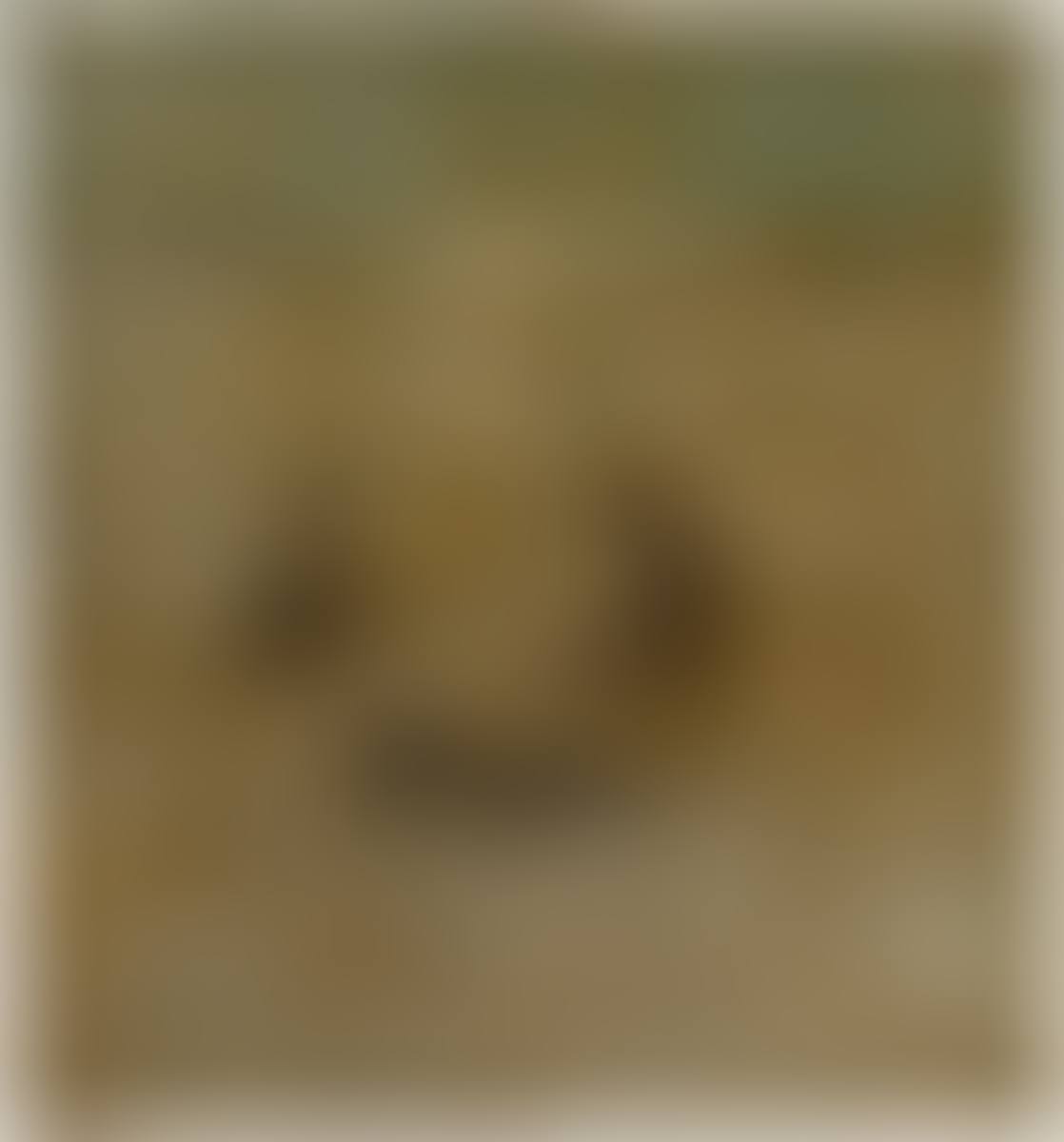 ”Die Glut” (preview)