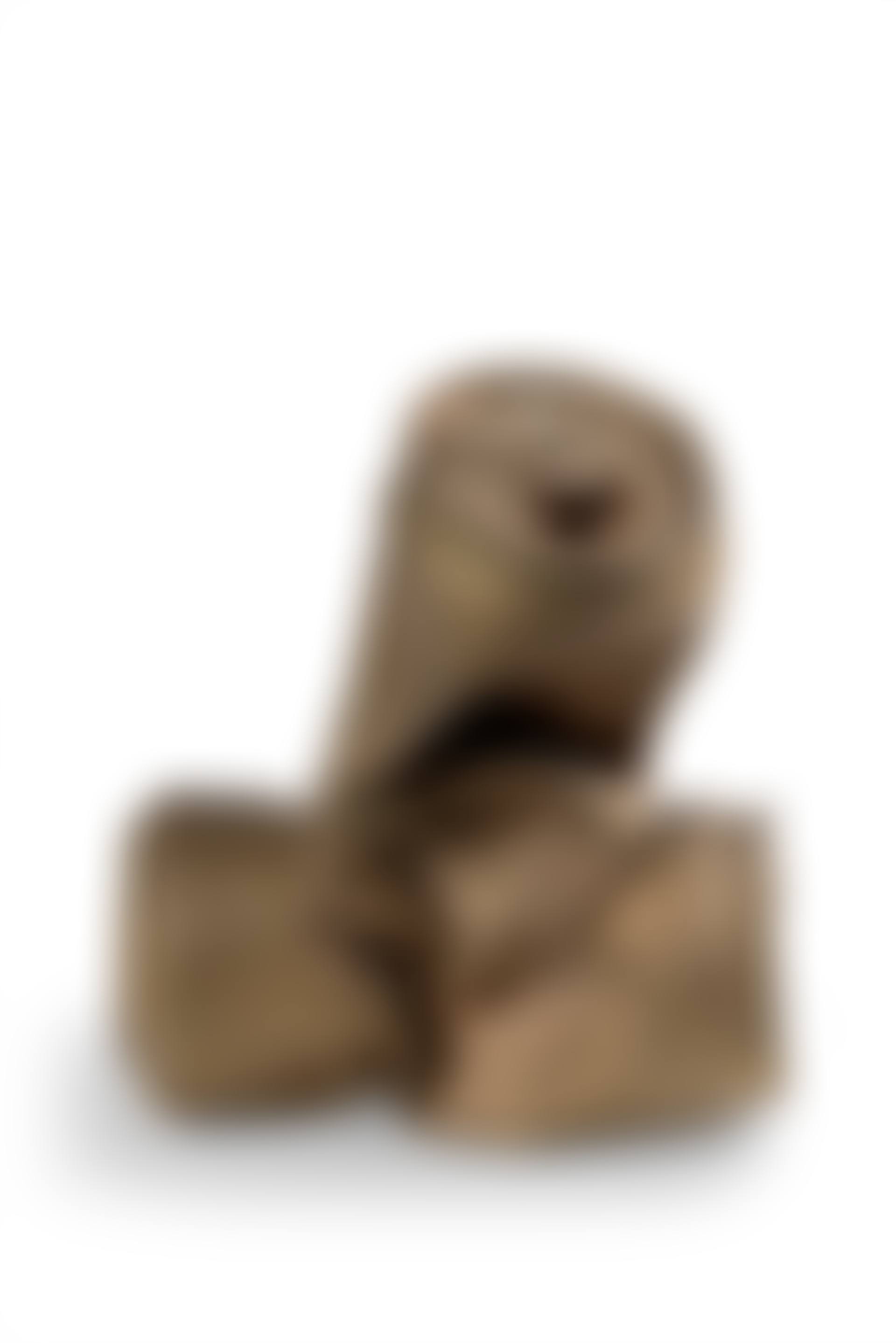 Beer Can Penis (preview)