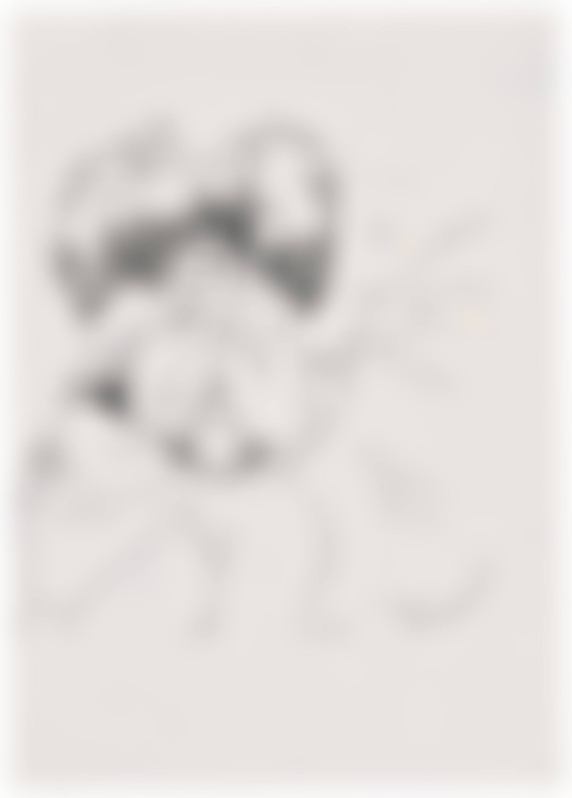 Untitled (Hiropon) (preview)