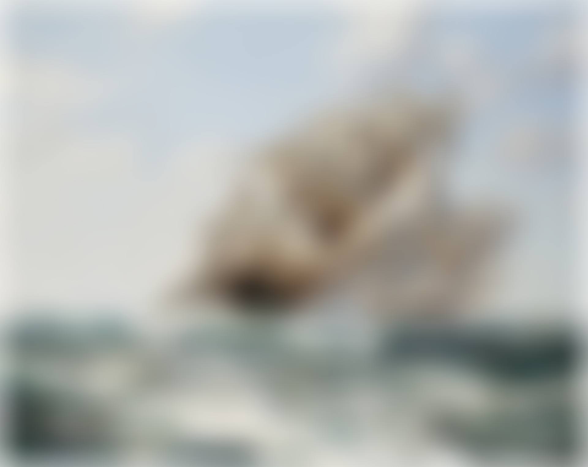 The China Tea Clippers Ariel and Taeping on September 5th 1866 (preview)