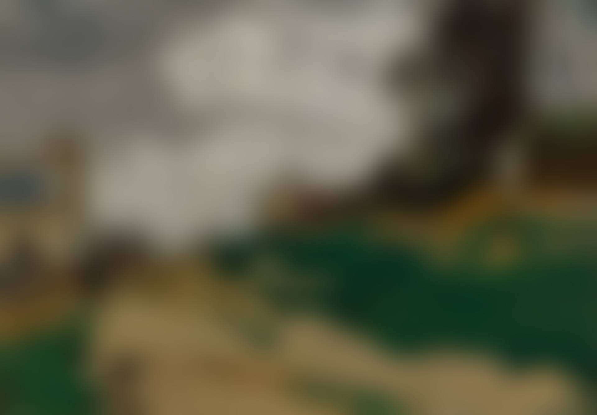 Paysage (preview)