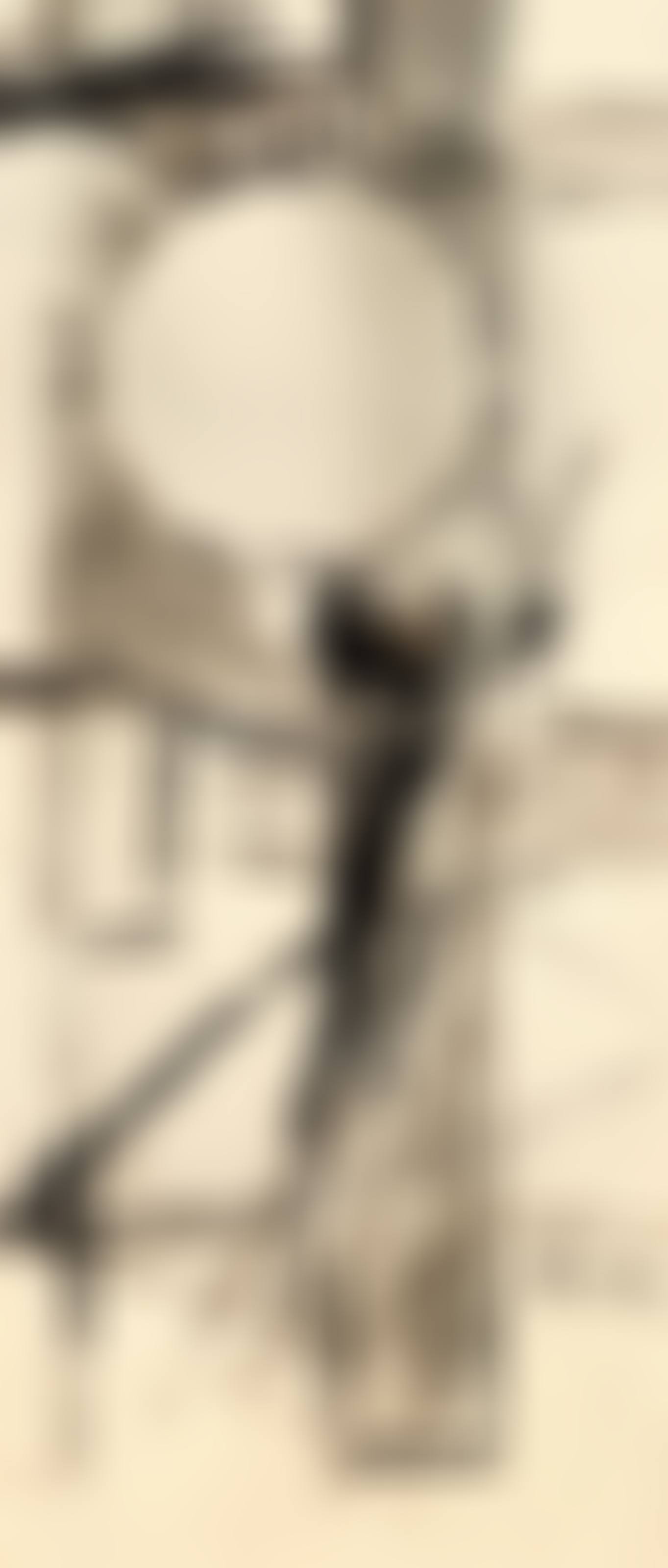 Ohne Titel (preview)