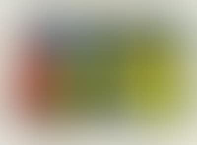 Mit der Liebe warten tut weh (preview)