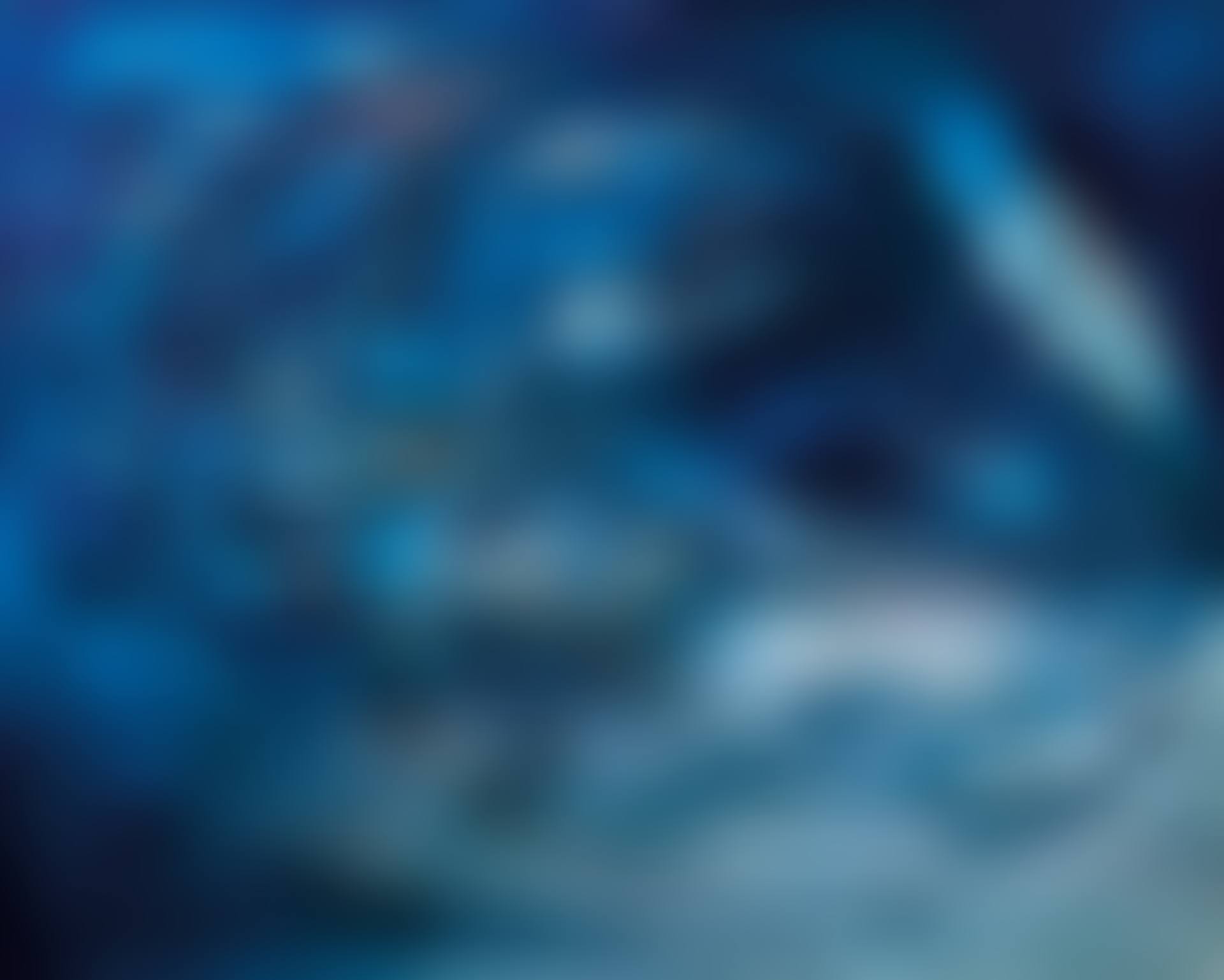 09.03.65 (preview)