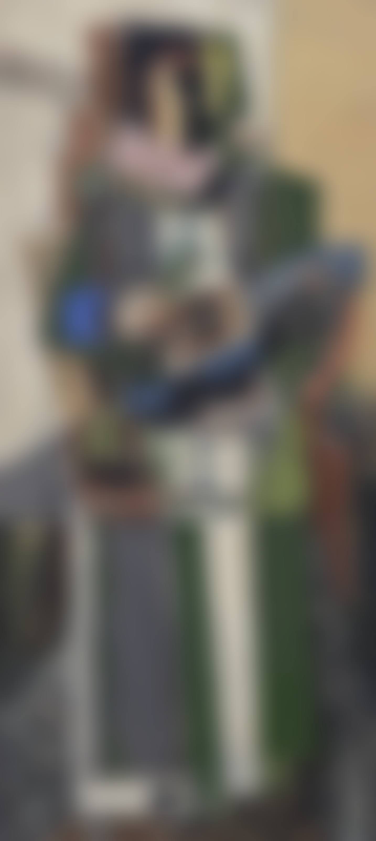 Joueur de mandoline (preview)