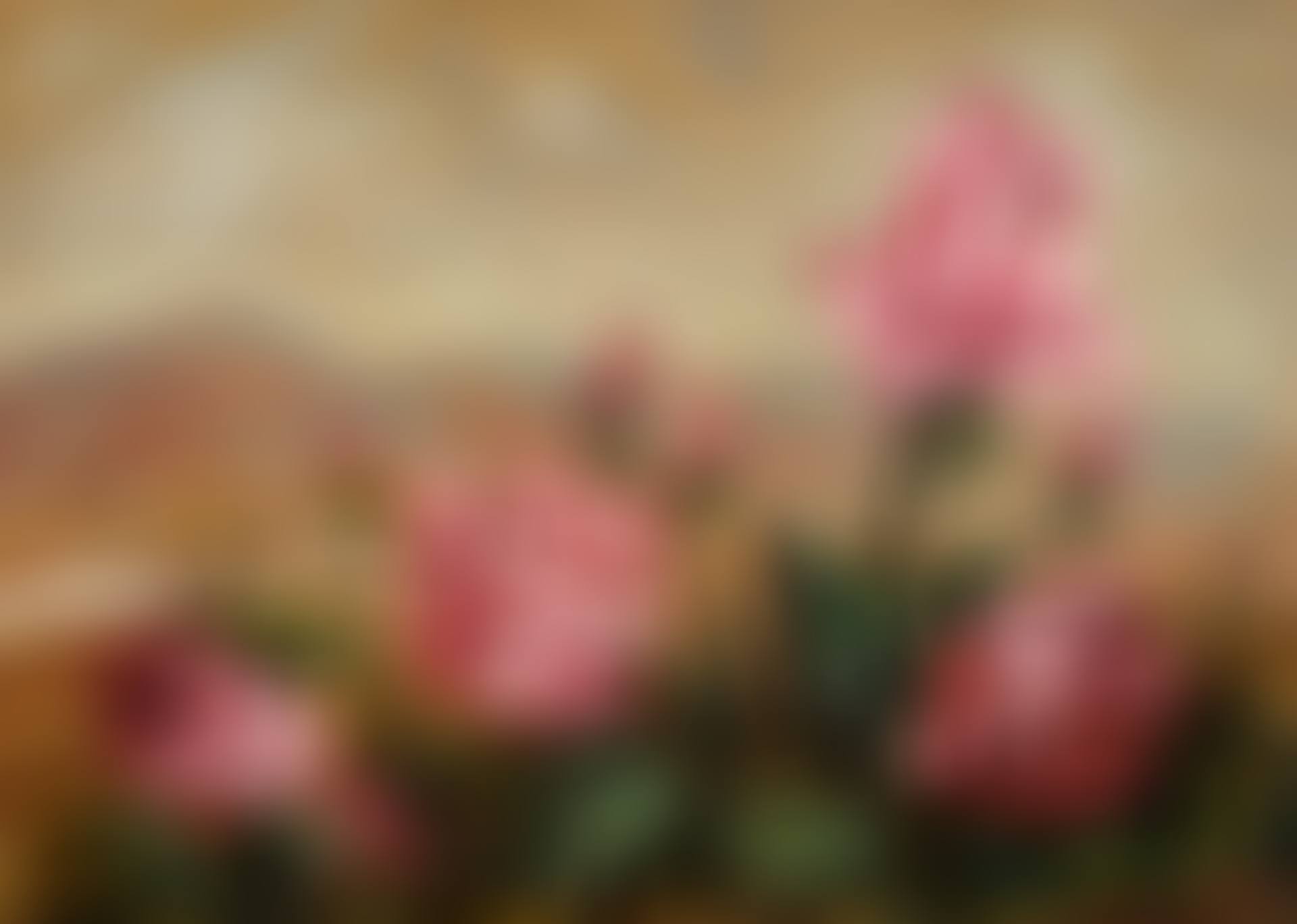 Rose (preview)