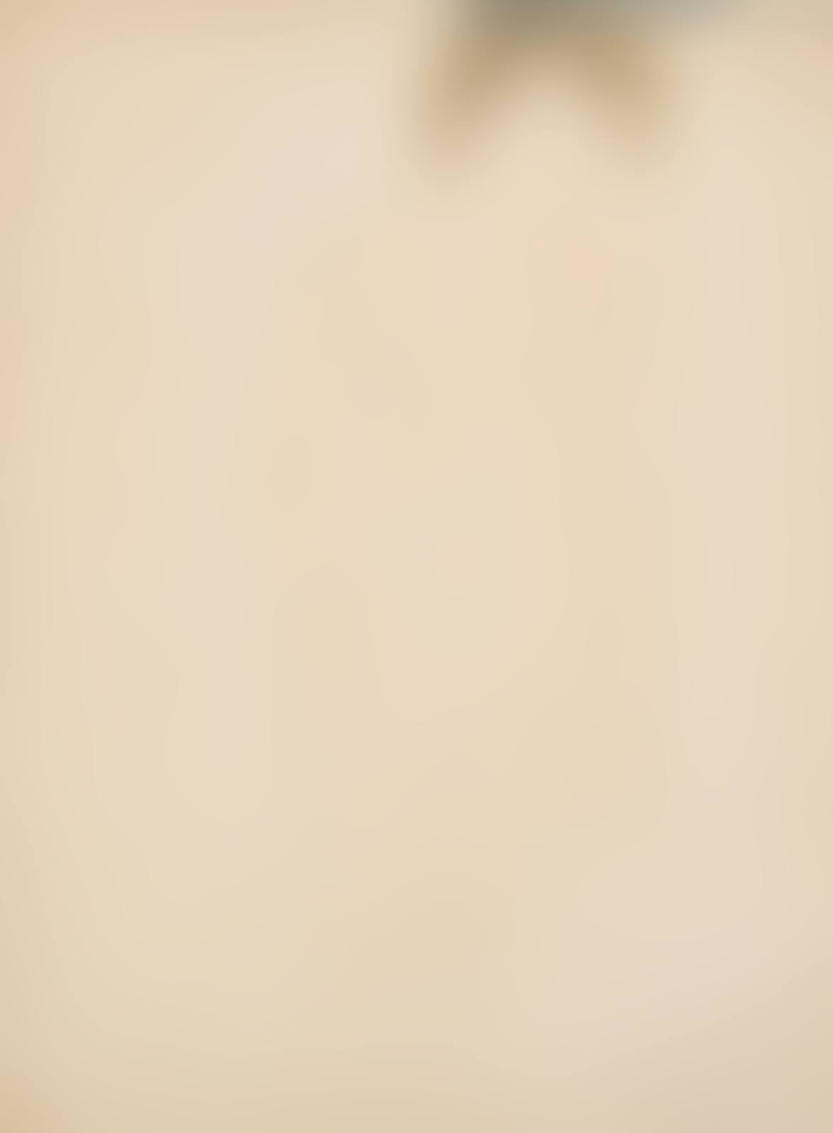 Femme Nue Debout, de Face, les Cheveux dans les Yeux (preview)