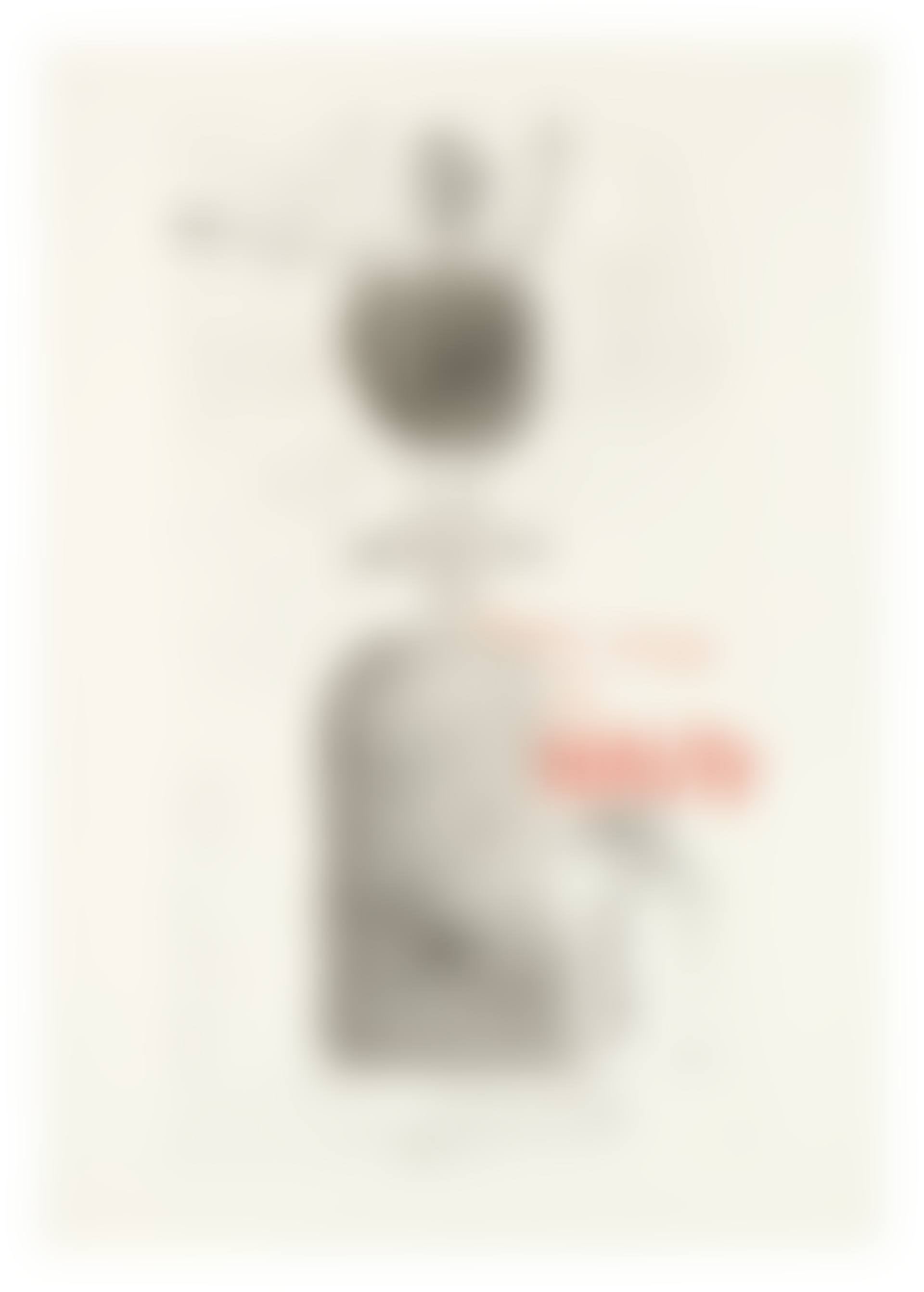 Kaisarion and All His Beauty (Scottish Arts Council 8; Museum of Contemporary Art Tokyo 8) (preview)