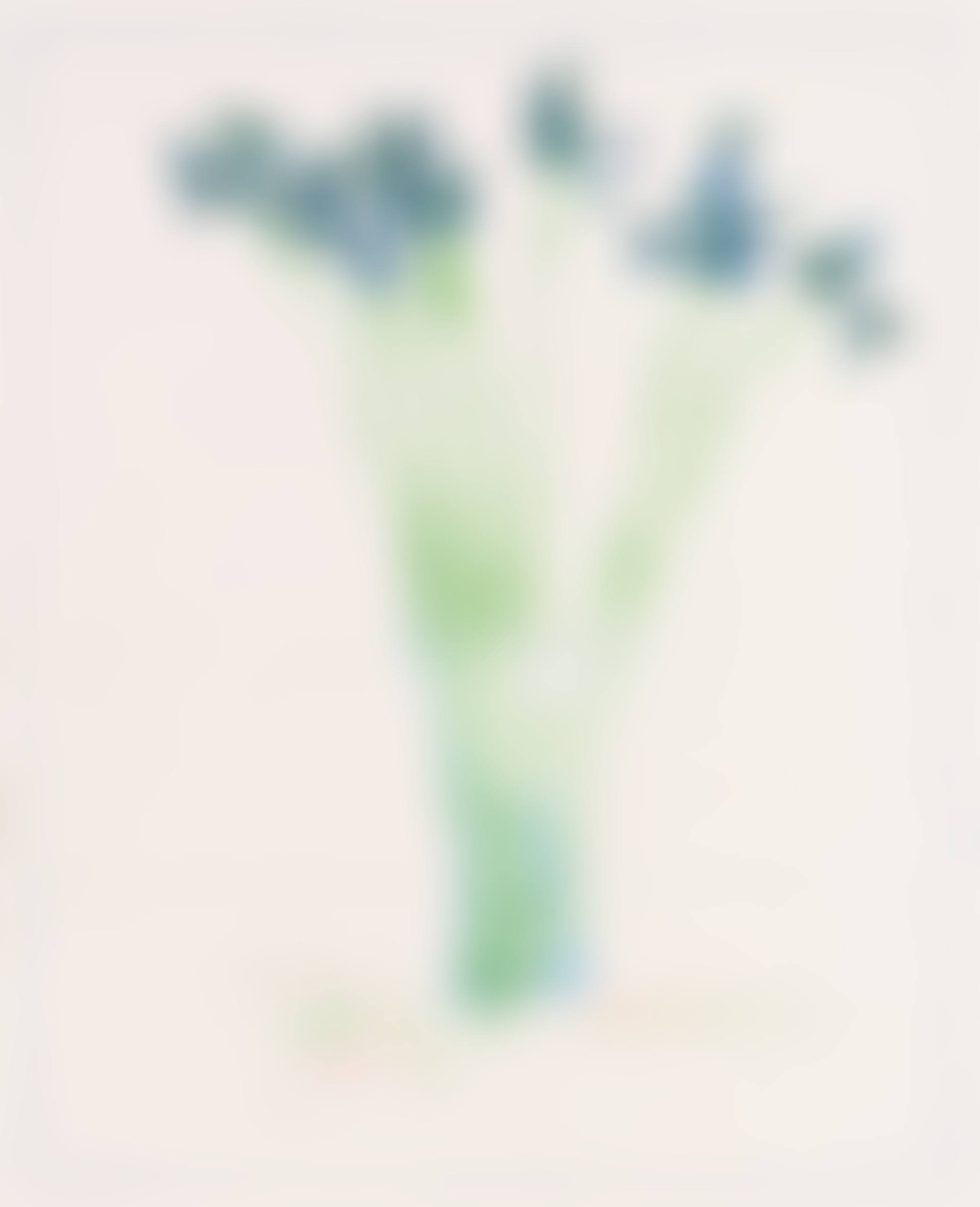 Still Life with Book (Scottish Arts Council 144; Museum of Contemporary Art, Tokyo 135) (preview)