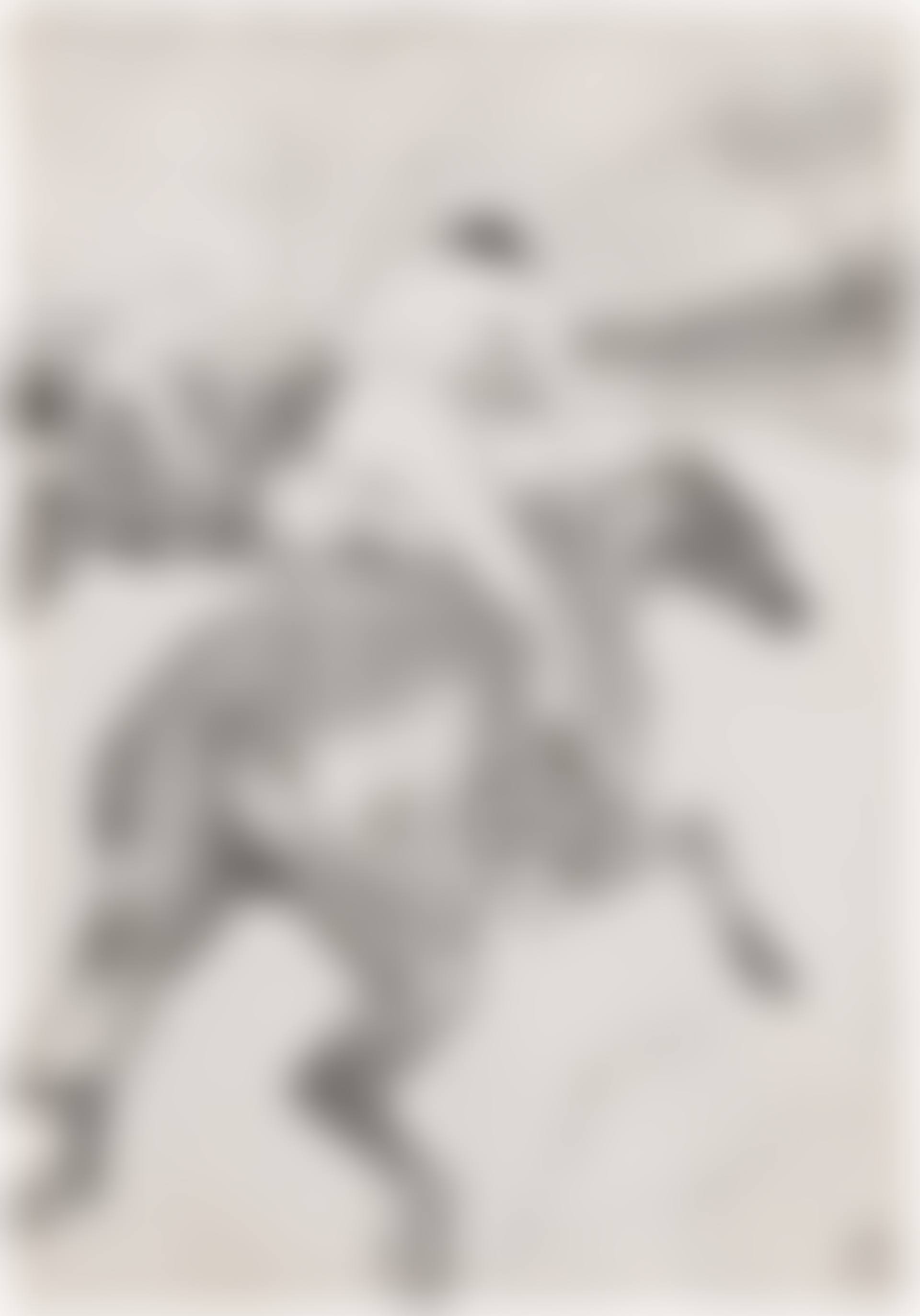 Le Jockey (Delteil 321; Adriani 345; Wittrock 308) (preview)