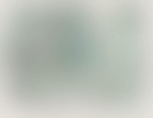 Donne su Fondo Verde (preview)