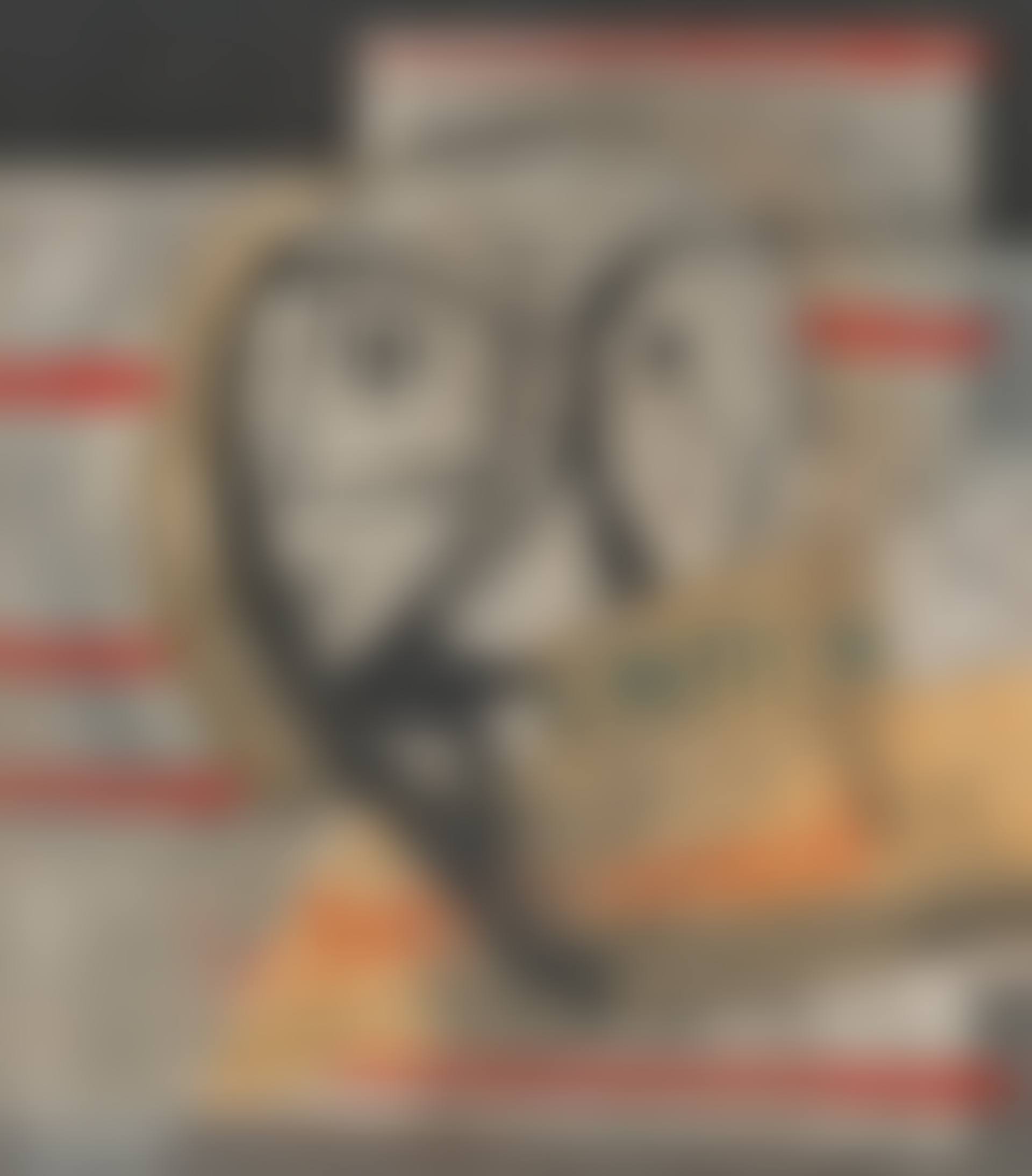 Le Petit Provençal (preview)