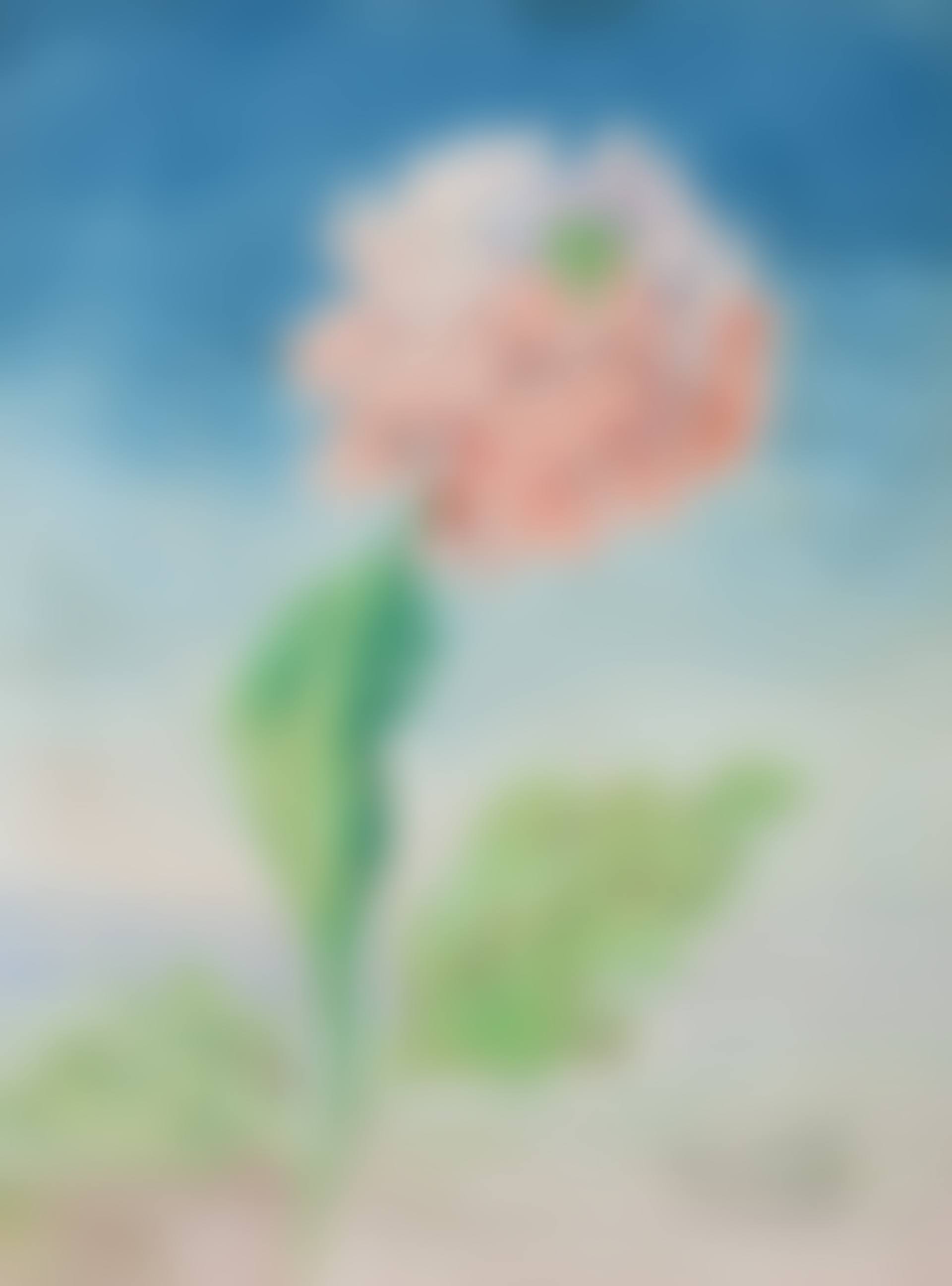 Le tricheur (preview)