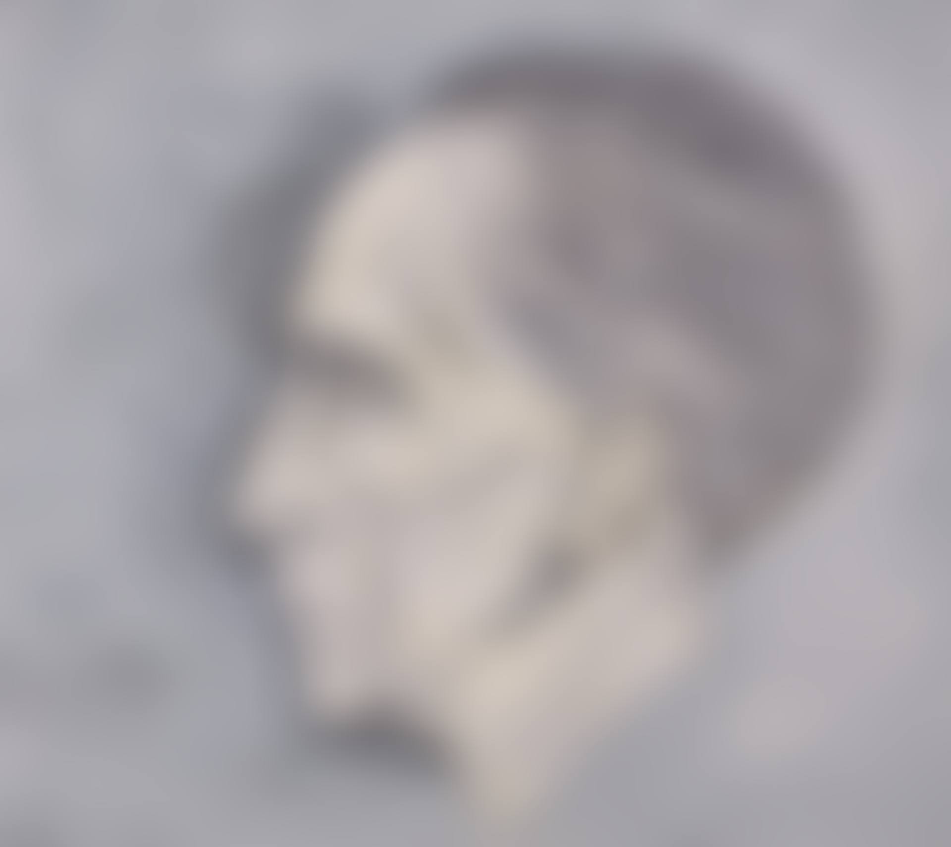 Portrait de Marcel Duchamp (preview)