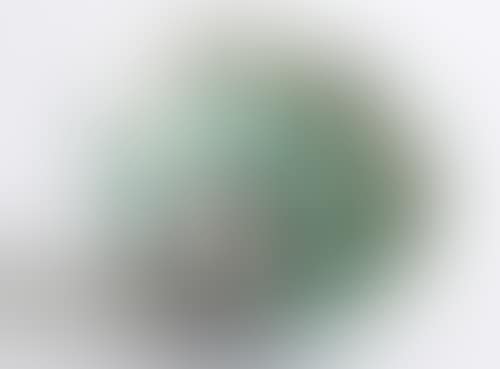Visage (preview)