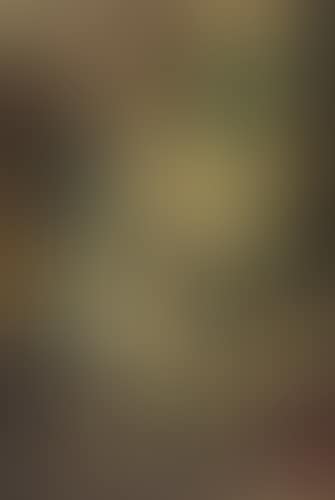 La Guitare Blanche (preview)