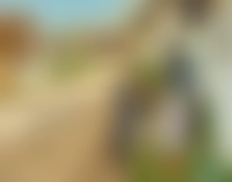 Spring day in the village. The kitten is presented to grandmother (preview)