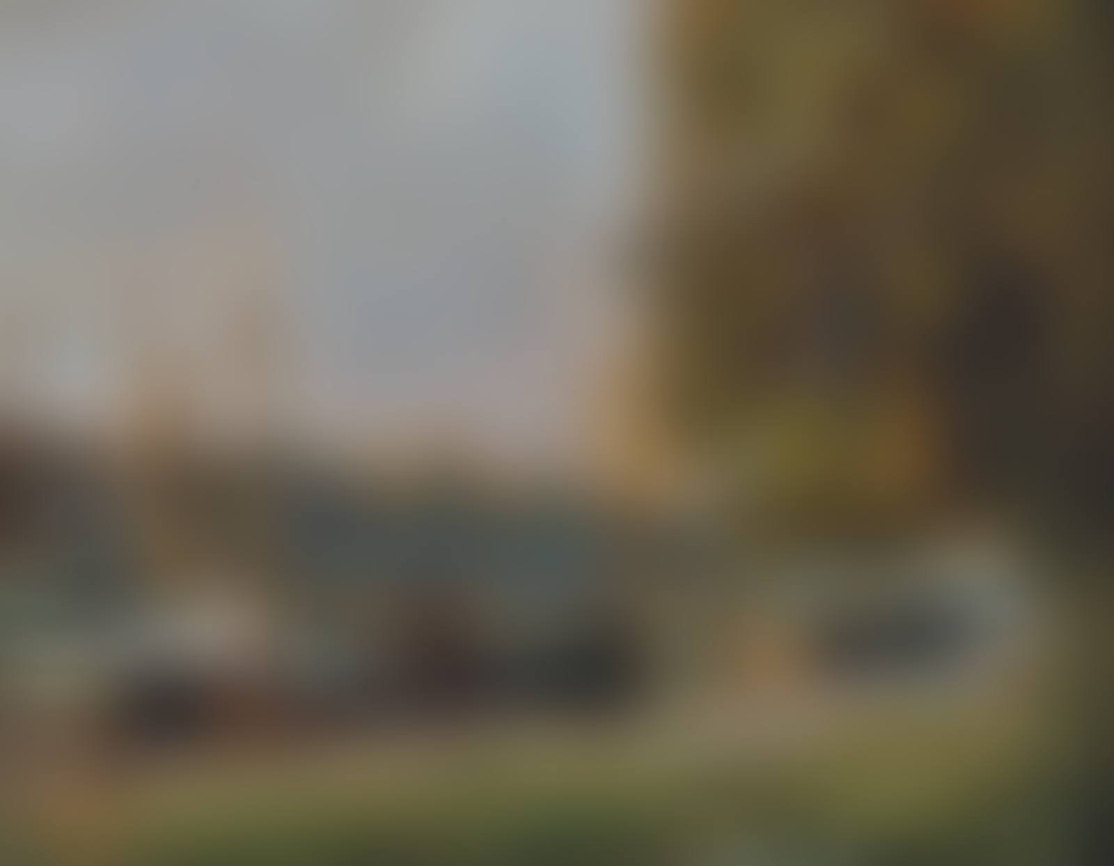 Landscape (preview)