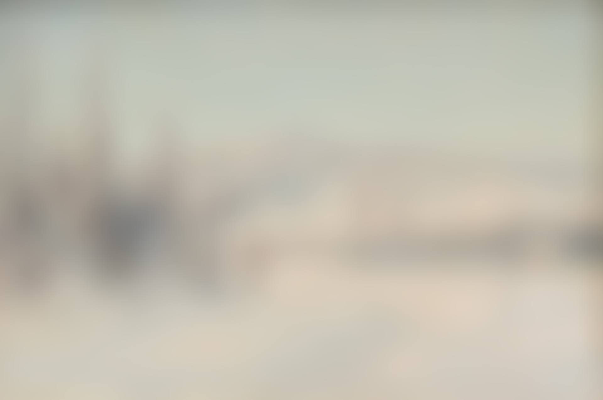 Winter Landscape (preview)
