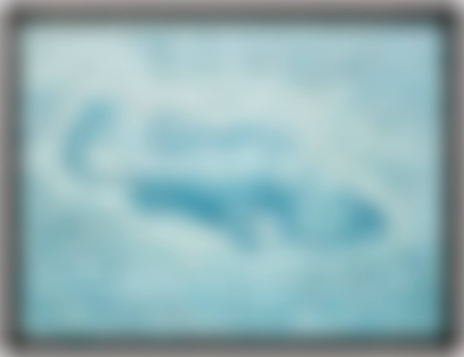 Garoupa (preview)
