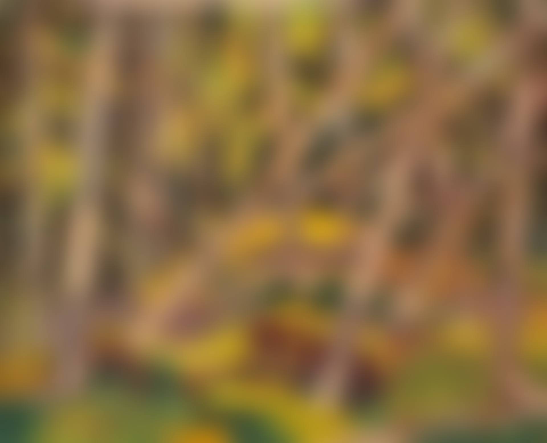 Forest Glade (preview)