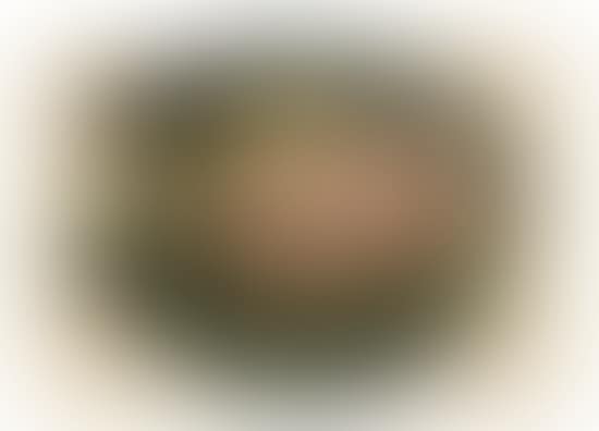 Study of Tropical Foliage (preview)
