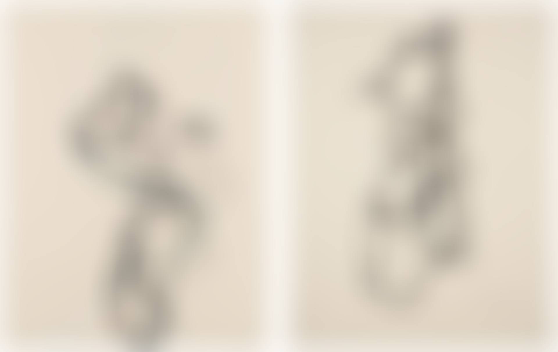 Zen Print #1; and Zen Print #2 (preview)