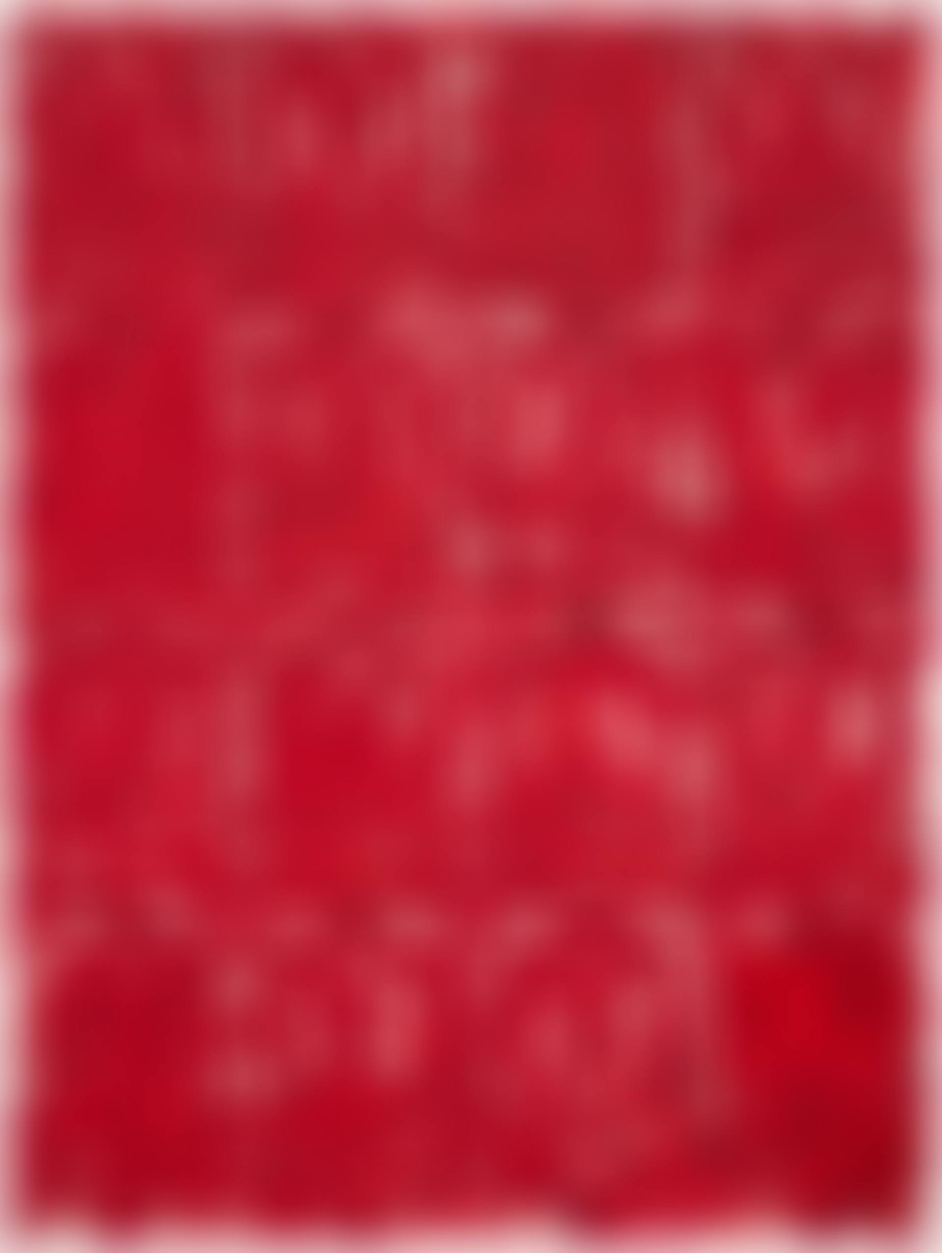 Untitled (Large Anxious Red) (preview)