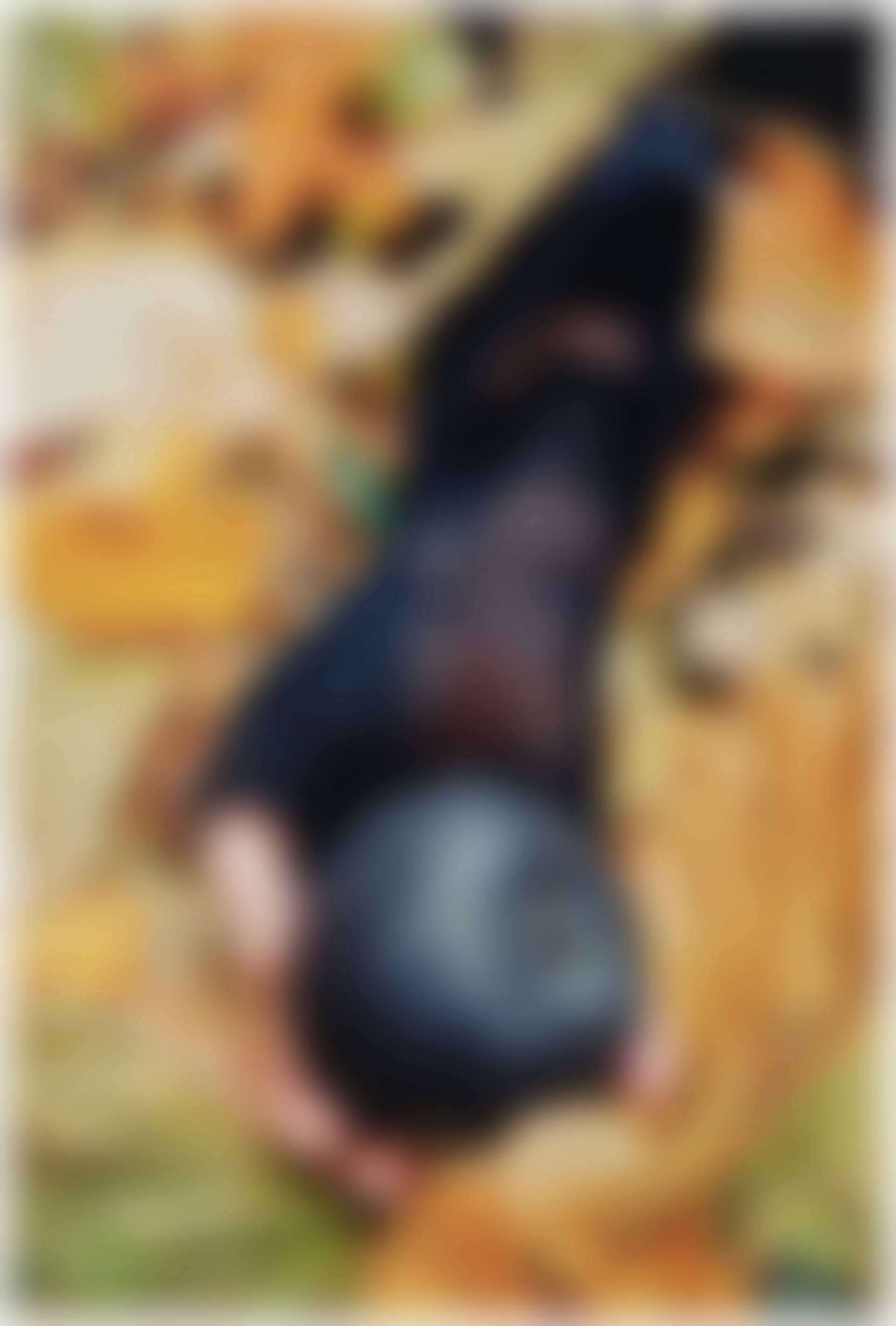 Sleeping Witch: one plate (preview)
