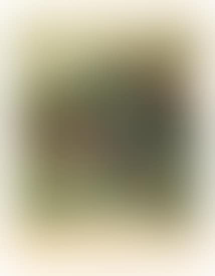 Lithograph IX (preview)